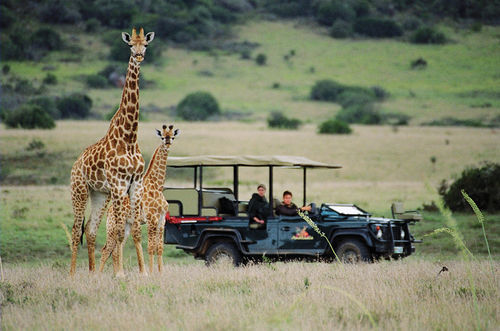 Amakhala Safari Lodge Paterson ภายนอก รูปภาพ