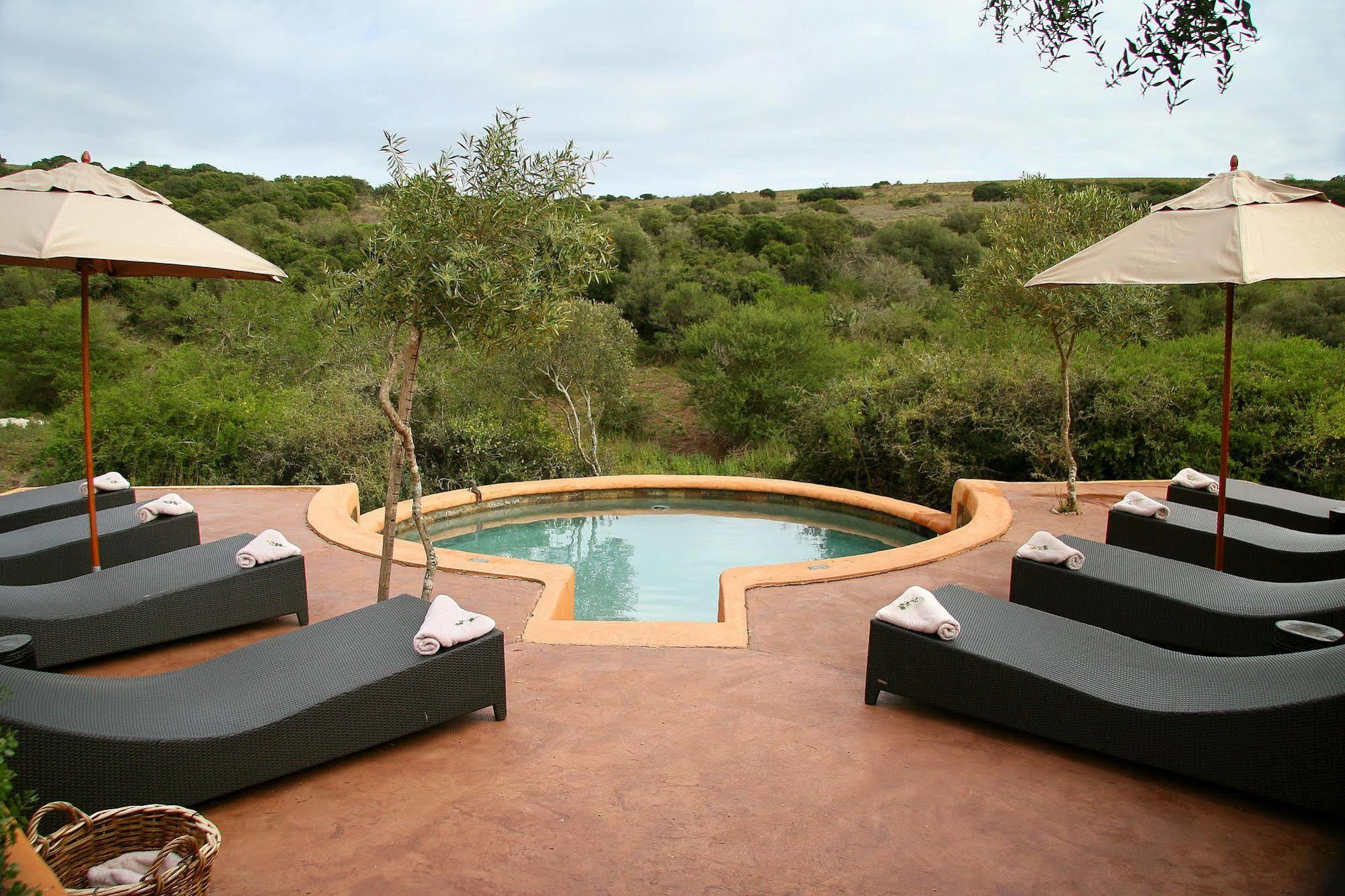 Amakhala Safari Lodge Paterson ภายนอก รูปภาพ